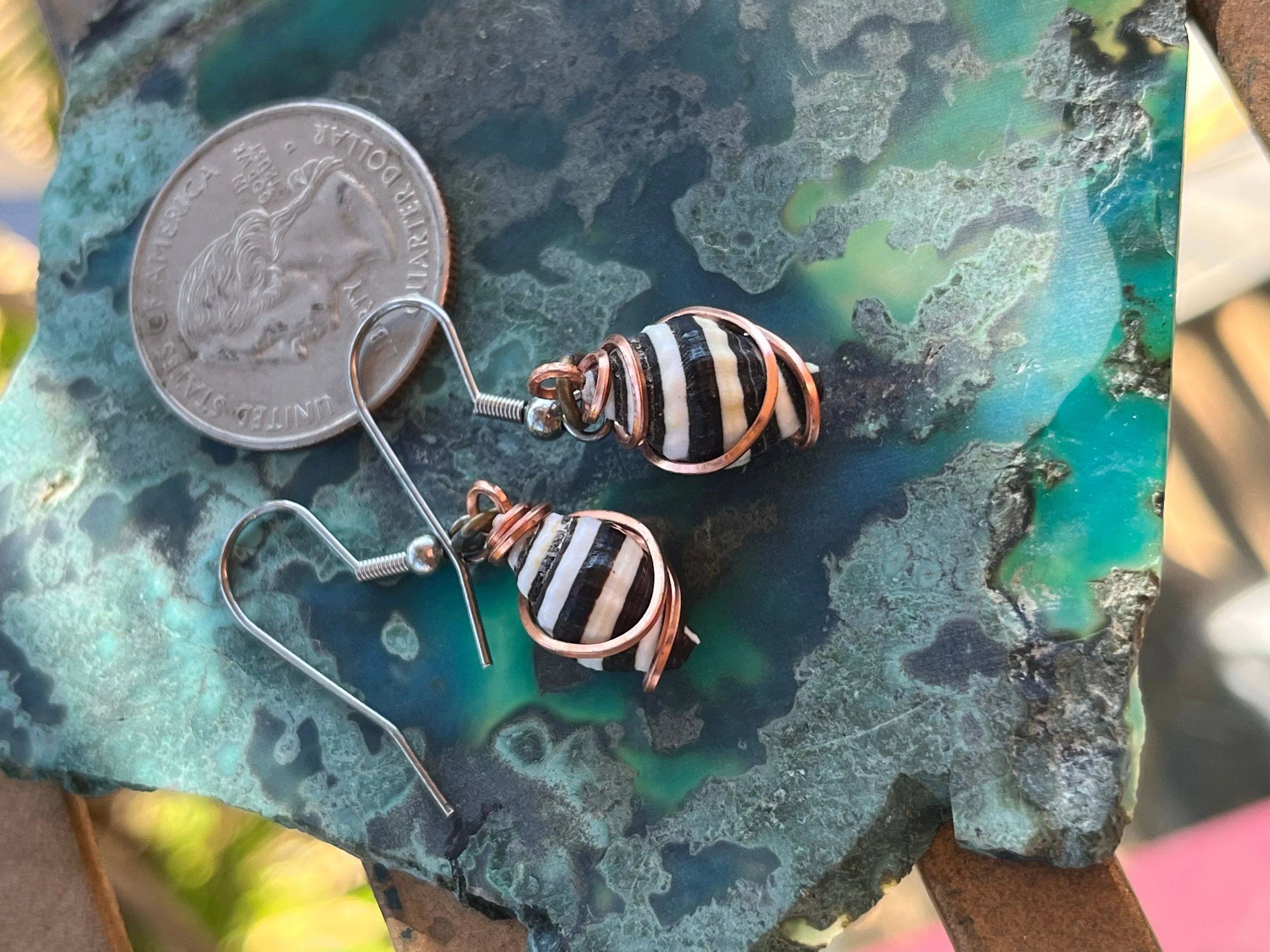 Whelk Sea Shells, Copper Jewelry, Striped Shell Earrings, WireWeavedUniques